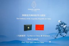 Using Books as a Medium and Polo as a Bridge: Book 